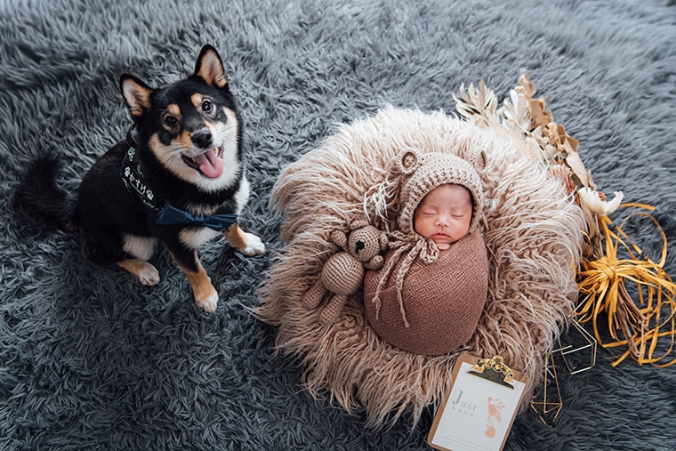 マタニティ撮影・ニューボーン撮影：愛知県半田市ルリエフォトスタジオ
